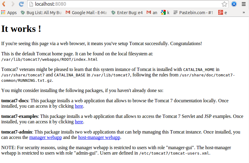 tomcat-ini-2